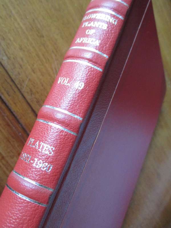 Flowering Plants of Africa Vol.49  D.J.B Killick and E. Du Plessis