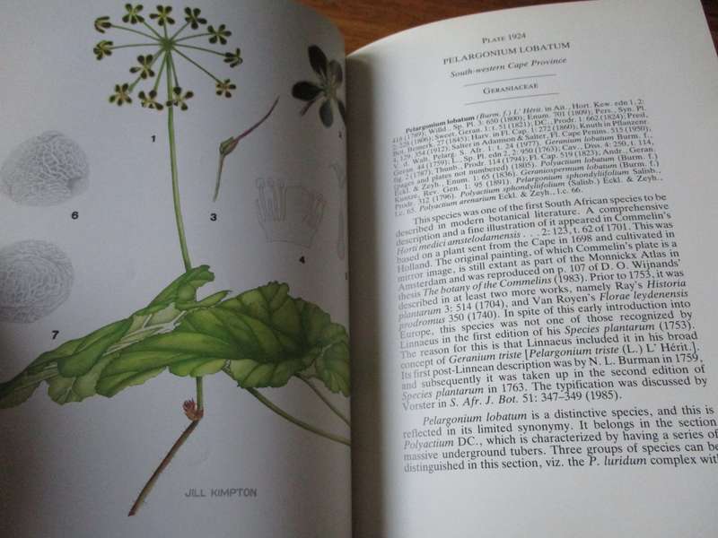 Flowering Plants of Africa Vol.49  D.J.B Killick and E. Du Plessis