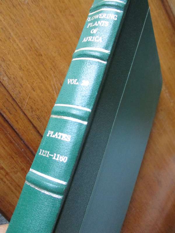 Flowering Plants of Africa Vol.29  R. Allen Dyer