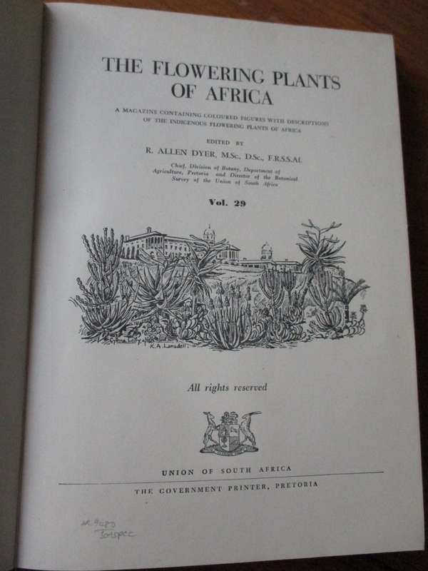 Flowering Plants of Africa Vol.29  R. Allen Dyer