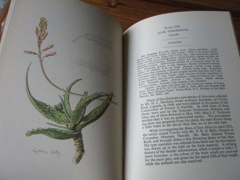 Flowering Plants of Africa Vol.29  R. Allen Dyer
