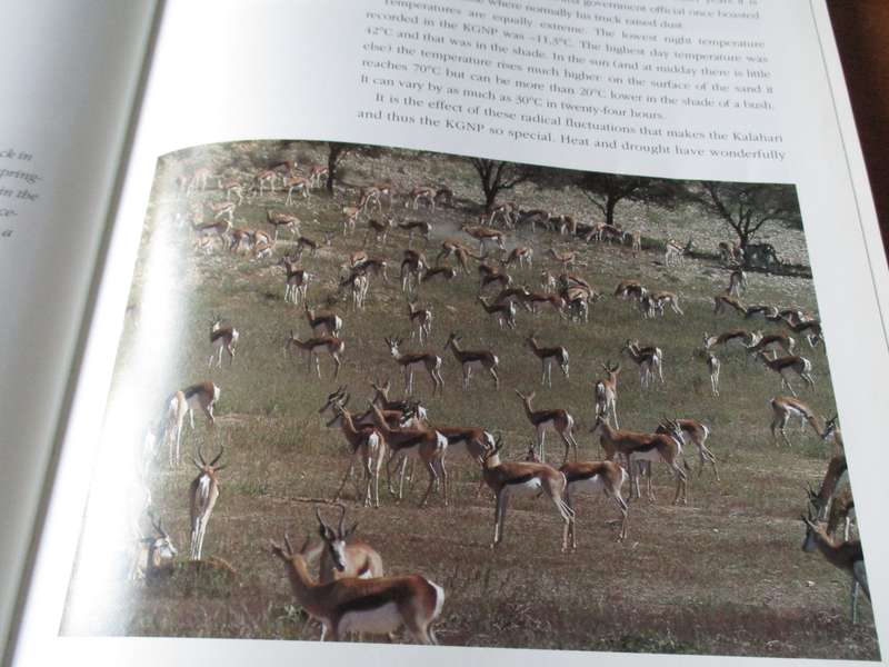 The Growded Desert  The Kalahari Gemsbok Park Wilf Nussey