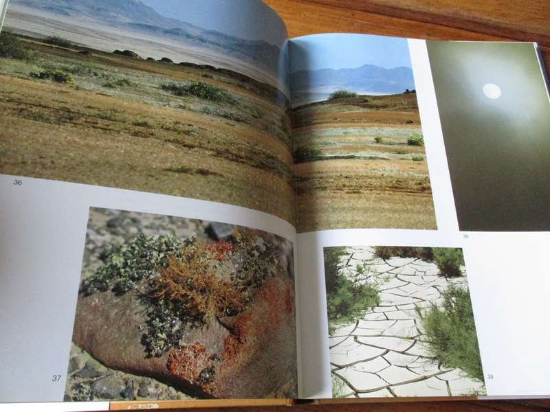 SKELETON COAST  Amy Schoeman