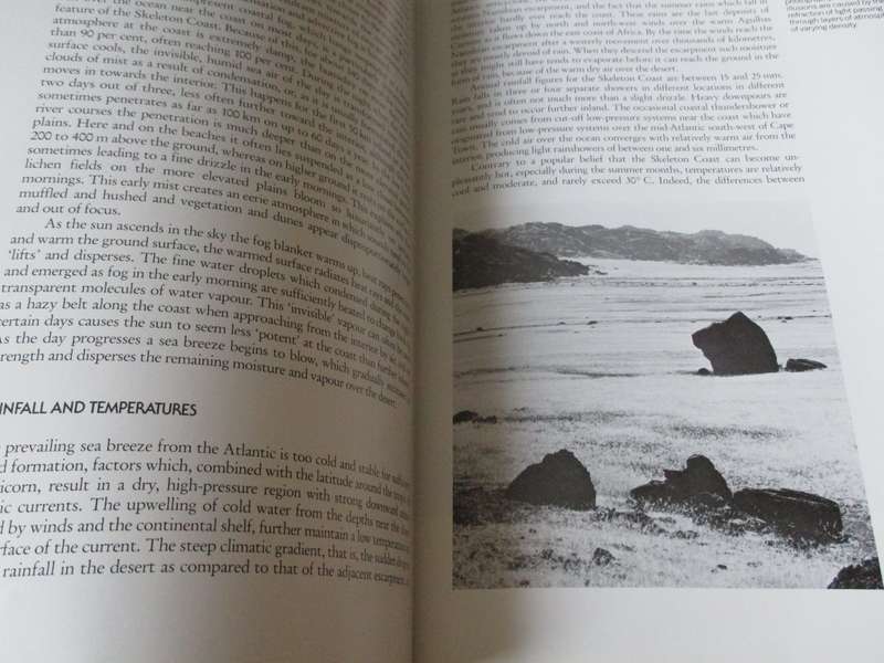 SKELETON COAST  Amy Schoeman