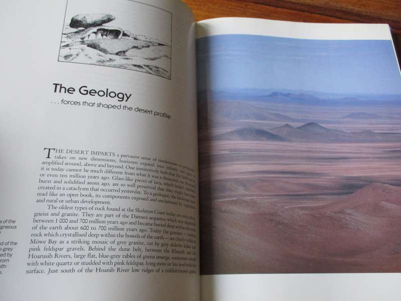 SKELETON COAST  Amy Schoeman