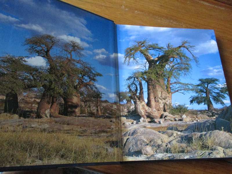 Remarkable Trees of the World THOMAS PAKENHAM