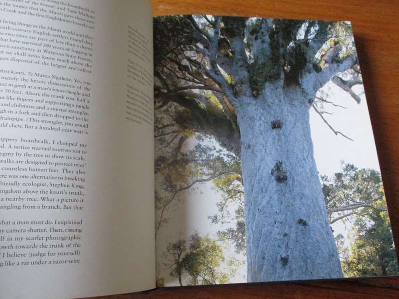 Remarkable Trees of the World THOMAS PAKENHAM