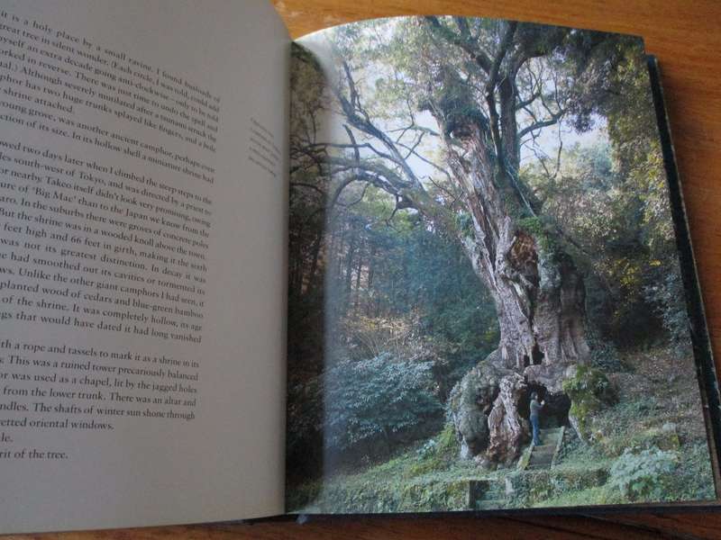 Remarkable Trees of the World THOMAS PAKENHAM