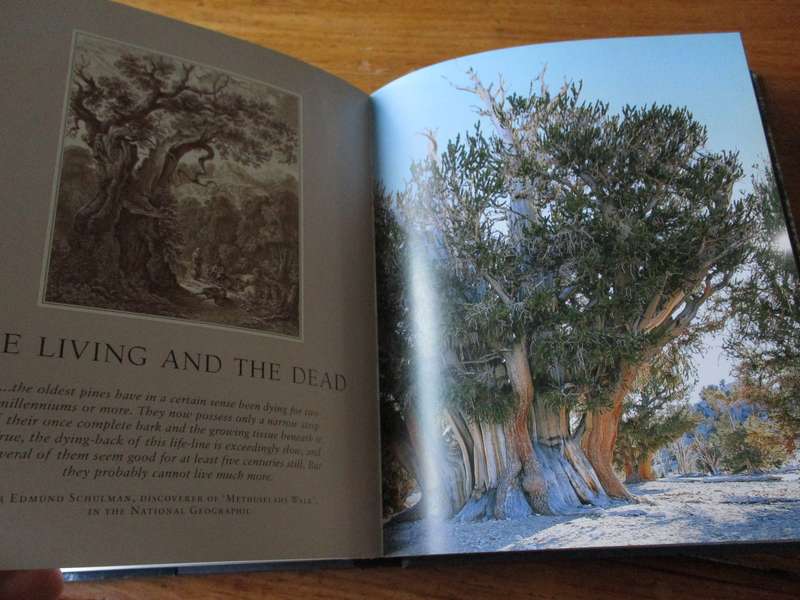 Remarkable Trees of the World THOMAS PAKENHAM