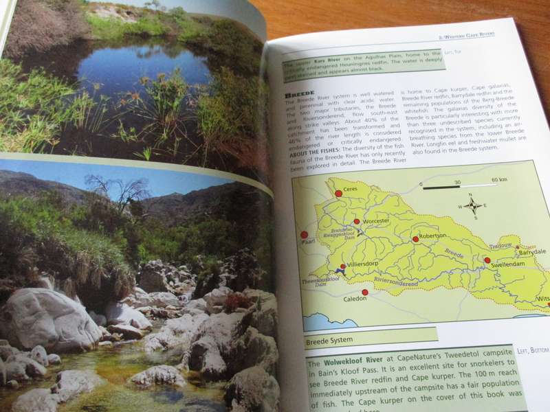 Swimming on the edge of Extinction Indigenous freshwater fish of the Western Cape Garrow/Marr