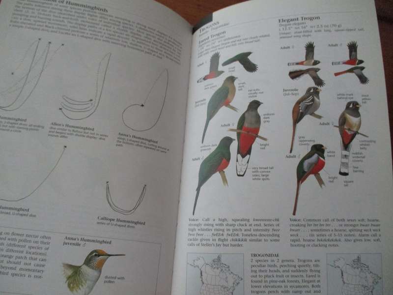 The North American Bird Guide  David Sibley