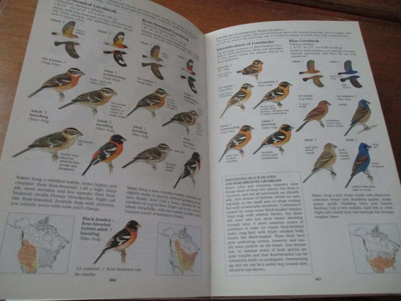 The North American Bird Guide  David Sibley