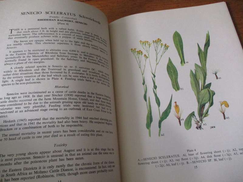 Poisonous Plants of Rhodesia  D.K. Shone and R.B. Drummond