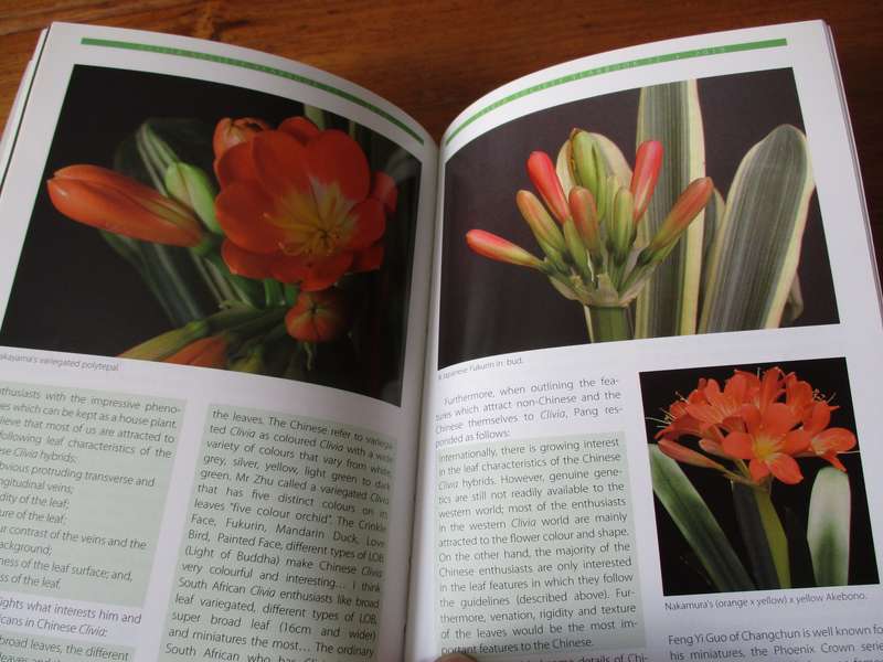 CLIVIA Twelve Roger Fisher & Roger Dixon