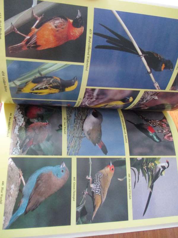 Birds of the Transkei C.D. Quickelberge