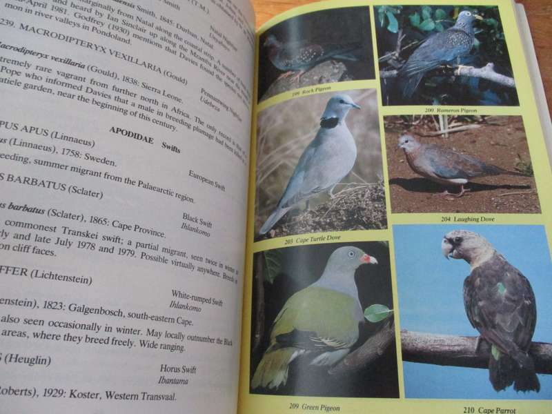 Birds of the Transkei C.D. Quickelberge