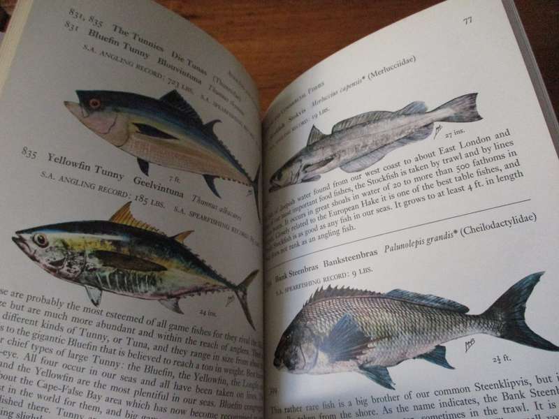 FISHES of the Tsitsikama Coastal National Park  Prof. J.L.B. Smith and Margaret M. Smith
