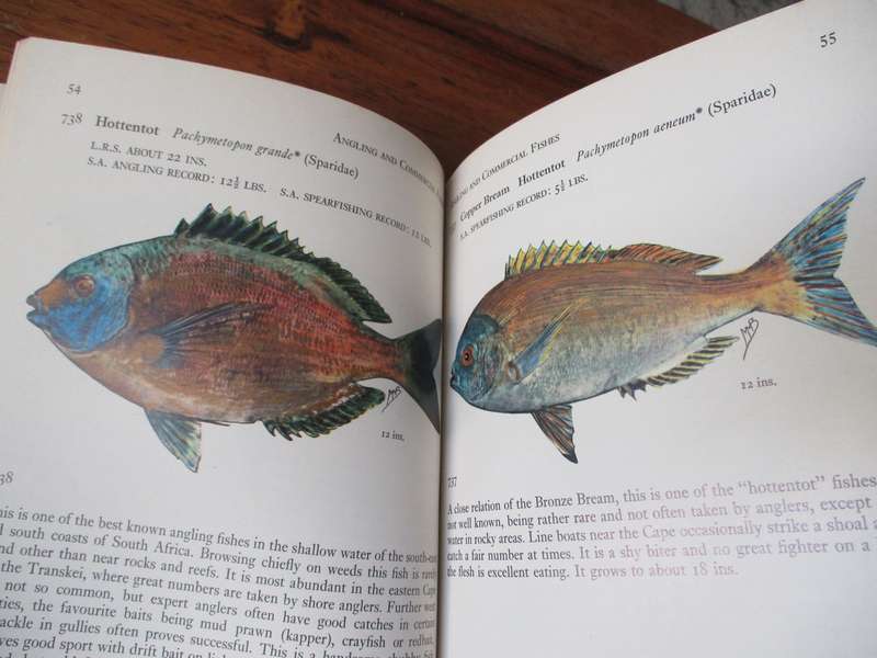 FISHES of the Tsitsikama Coastal National Park  Prof. J.L.B. Smith and Margaret M. Smith