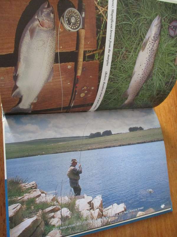 TROUT Through the looking glass  Malcolm Meintjes  Techniques for Southern African Flyfishers
