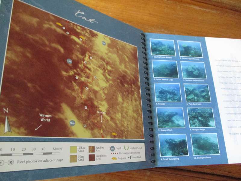 Sodwana Bay 2 Mile Reef dive guide Reefmappers international