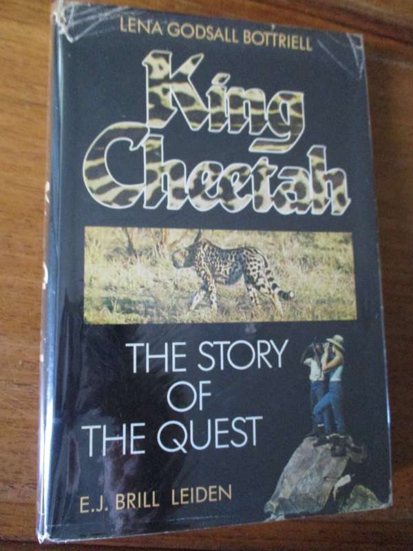 King Cheetah The story of the quest  Lena Godsall Bottriell