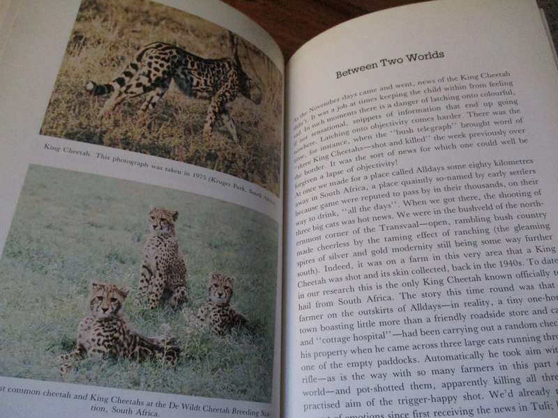 King Cheetah The story of the quest  Lena Godsall Bottriell