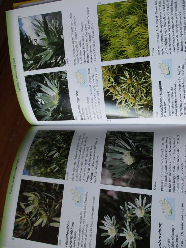 Fynbos Ecoguide  Colin Paterson-Jones & John Manning