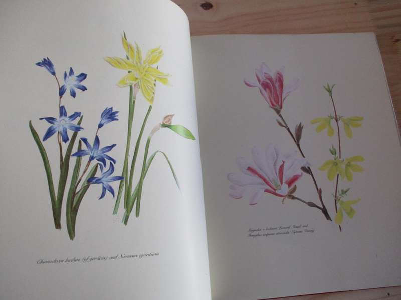 GRAHAM STUART THOMAS  The complete flower Paintings and drawings
