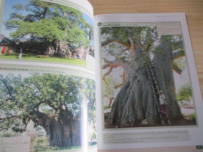 Remarkable trees of South Africa  N. Esterhuyse, J. von Breitenbach, H. Sohnge, I. van der Merwe