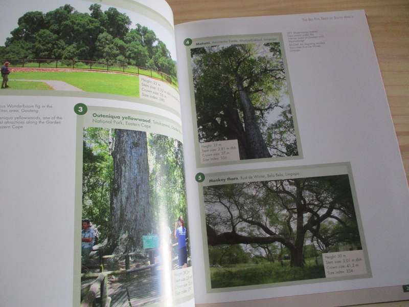 Remarkable trees of South Africa  N. Esterhuyse, J. von Breitenbach, H. Sohnge, I. van der Merwe