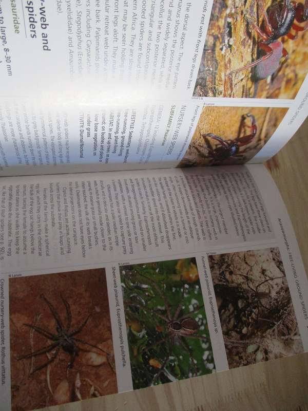 Filmer's SPIDERS An identification Guide for Southern Africa Martin R. Filmer revised by N Larse