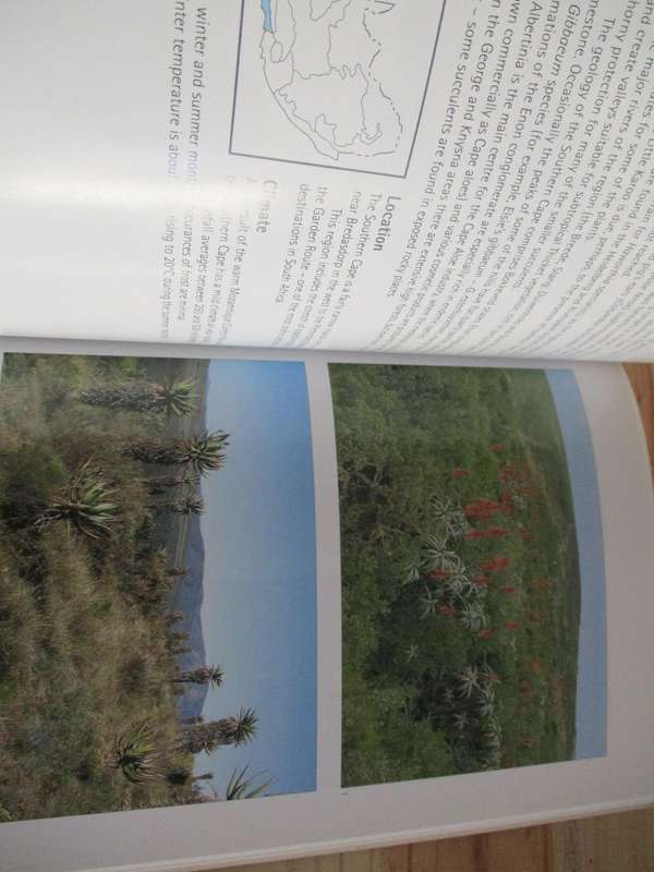 Succulents of South Africa  Ernst van Jaarsveld, B van Wyk and G Smith  Illustrated bu Elise Bodley