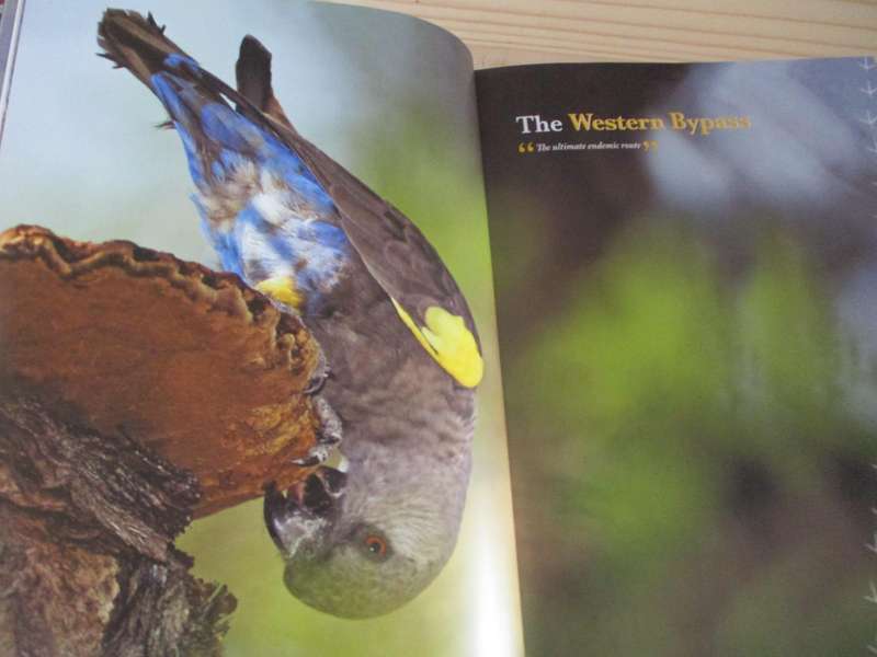 SIGNED. Birds of Naminia  The Journey Continues  Pompie Burger