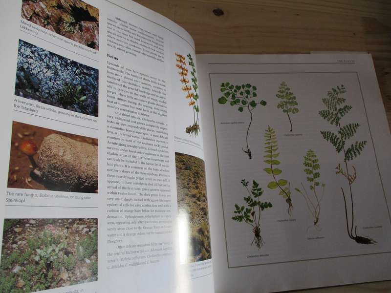 Richtersveld the Enchanted Wilderness Graham Williamson