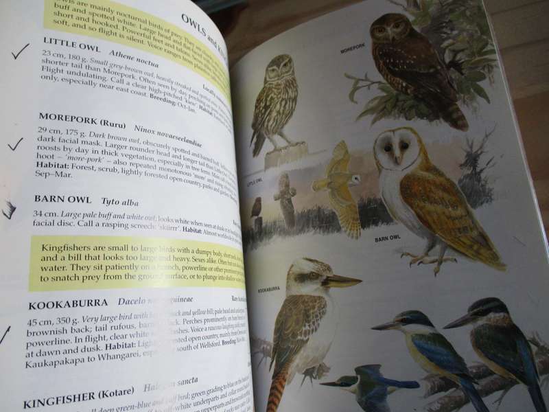 Hand Guide to the Birds of New Zealand
