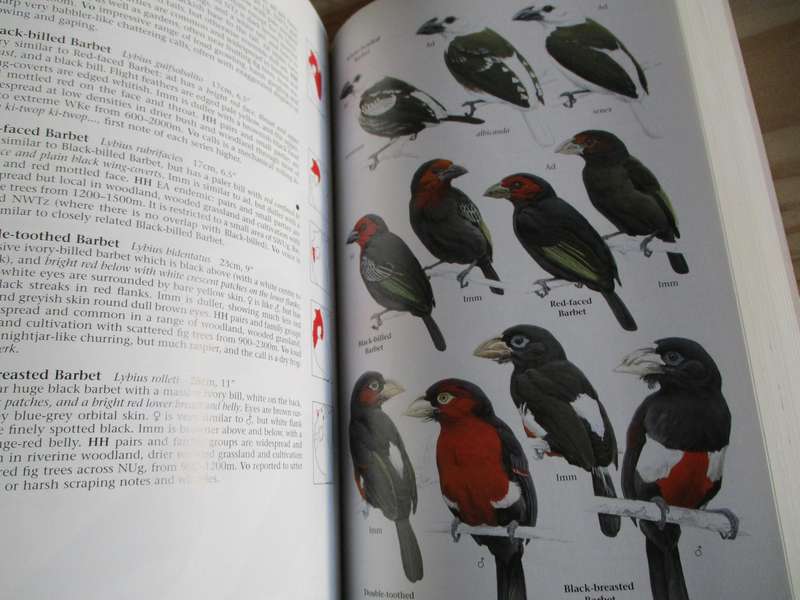 BIRDS OF EAST AFRICA - Kenya, Tanzania, Uganda, Rwanda, and Burundi