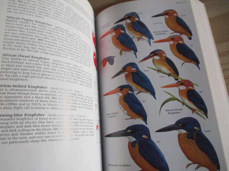 BIRDS OF EAST AFRICA - Kenya, Tanzania, Uganda, Rwanda, and Burundi