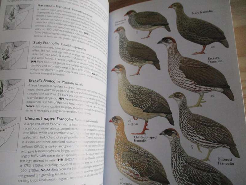 BIRDS OF THE HORN OF AFRICA - Ethiopia, Eritrea, Djibouti, Somalia, and Socotra