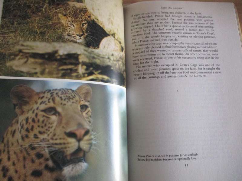 PRINCE OF CATS. The Leopard. By Arjan Singh