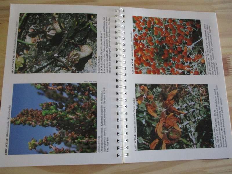 Pauline Bohnen Natuurreservaat - Photographic Flower Guide