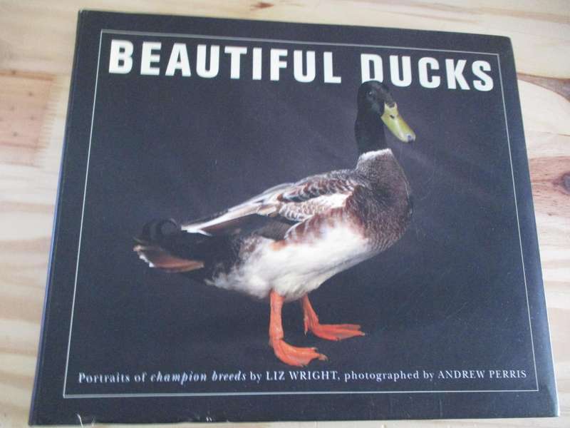 Beautiful Ducks - portraits of champion breeds