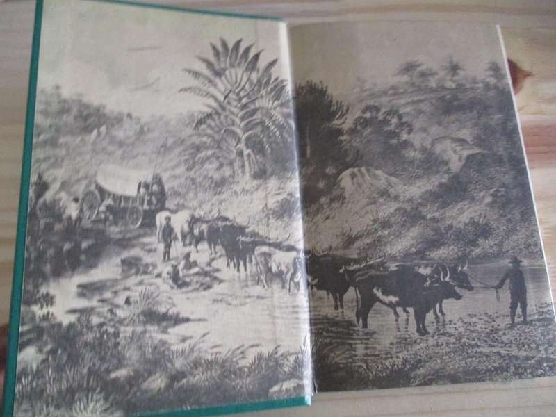 Eight Months in an Ox-Waggon