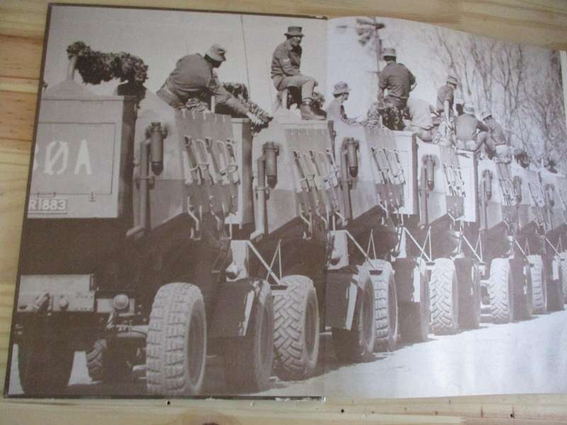 TAMING THE LANDMINE - PETER STIFF
