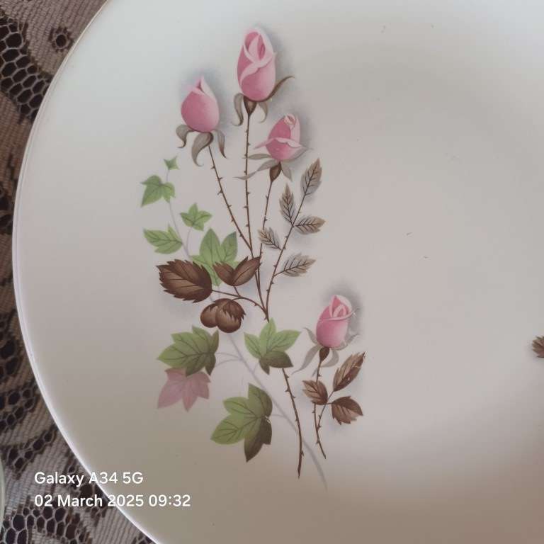 JOHNSON BROS DINNER SET