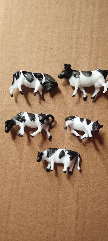 5 Friesland / Holsten Cattle - HO Scale