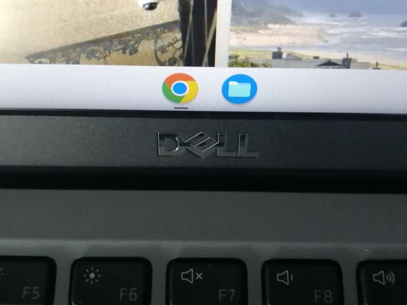 DELL LATITUDE 5400 CHROMEBOOK