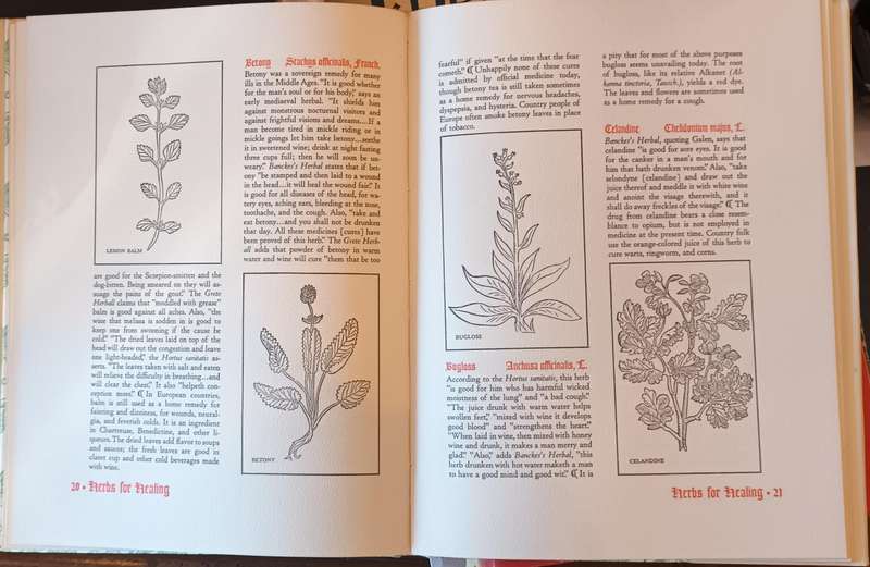 Herbs for the Mediaeval Household for Cooking, Healing and Divers Uses - Freeman, Margaret B