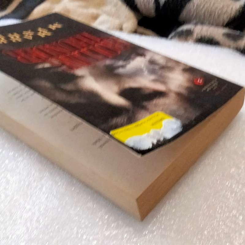 Mark Mynheir -Rolling Thunder - PB 2005 Book soft cover Pre-owned