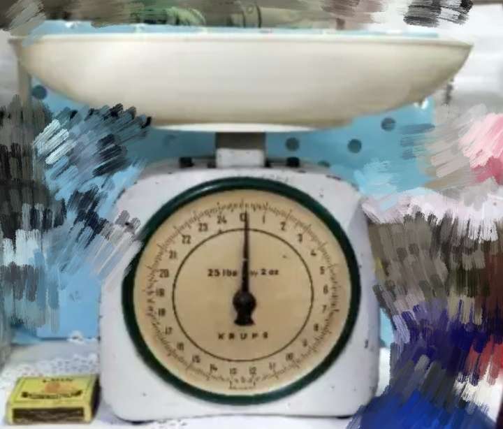 1 Krups Enamel Scale Metal has plastic bowl top