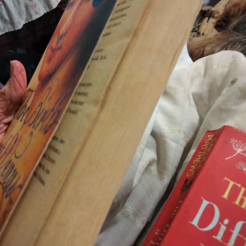 SARAH DUNANT The Birth of VENUS PB2004+Carol Mathews The difference a Day Makes softcover Pre-owned
